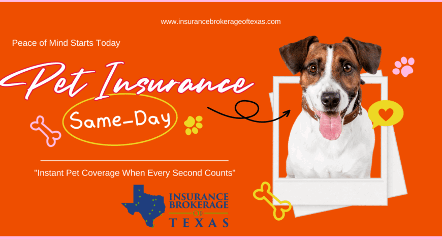pet insurance same day